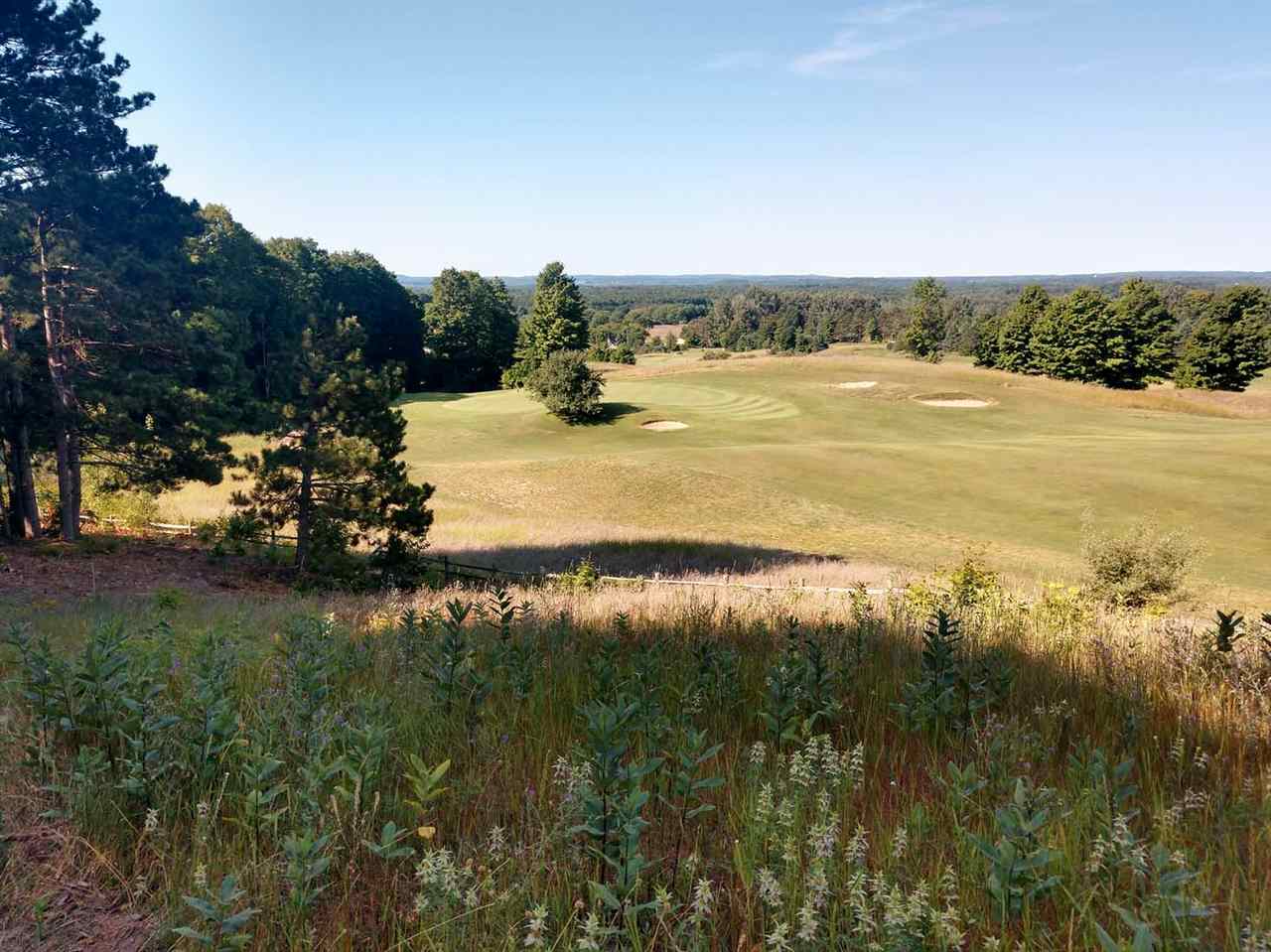 8 Heather Ridge Trail Beulah, MI 49617 - Photo 8 of 9