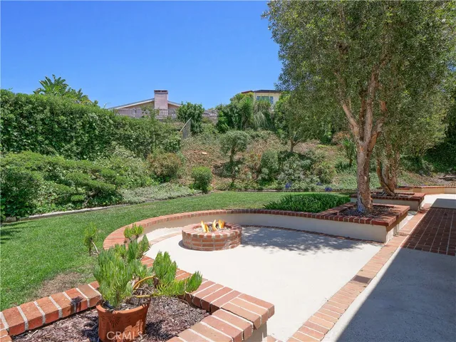 a view of a garden with plants