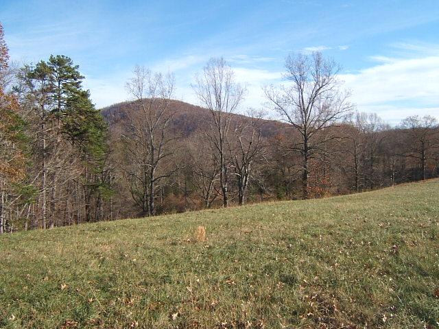 5094 Union Church Road Thaxton, VA 24174 - Photo 11 of 11 a view of a yard with a house