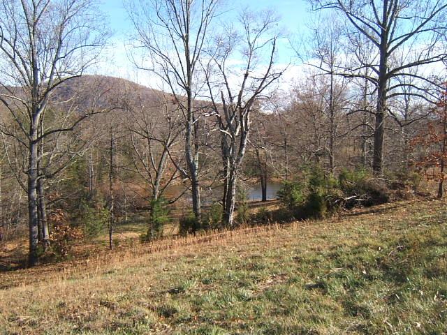 5094 Union Church Road Thaxton, VA 24174 - Photo 6 of 11 a backyard of a house with large trees