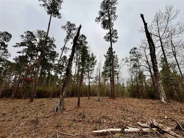 $125,000 | Lazy Point Trail, Many, LA 71449