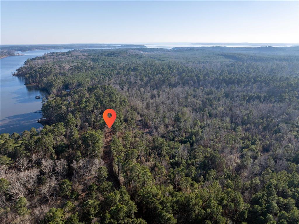 Lazy Point Trail Many, LA 71449 - Photo 4 of 20