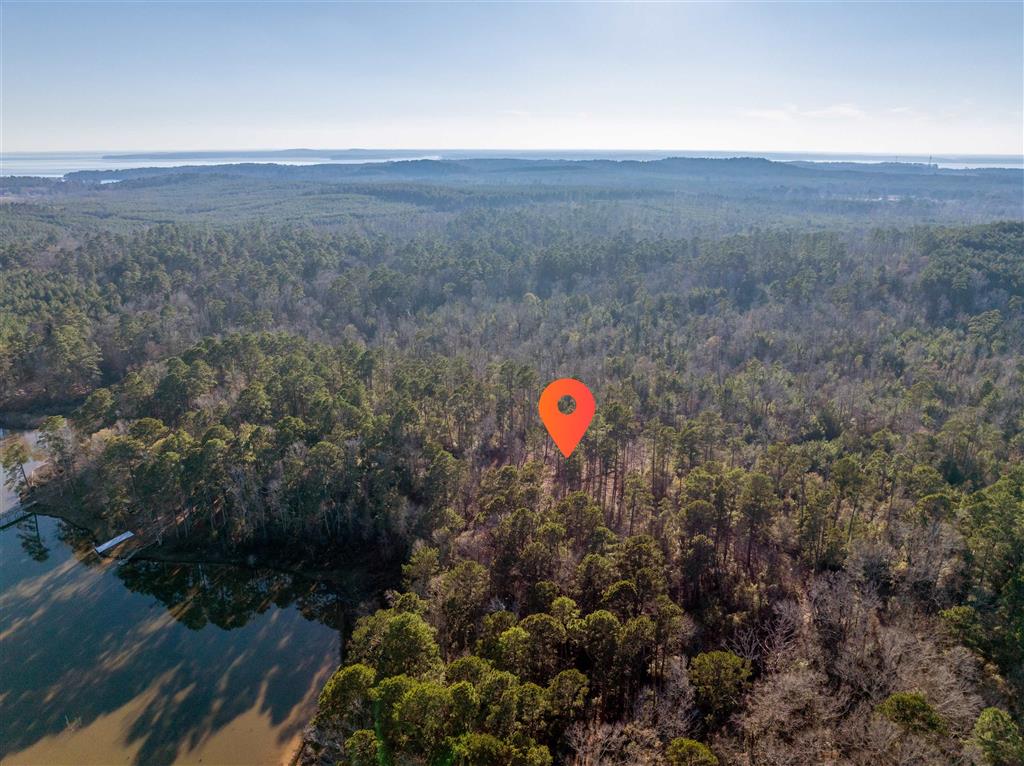 Lazy Point Trail Many, LA 71449 - Photo 7 of 20