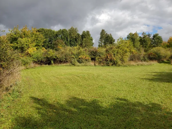 $550,000 | 419 South Juniper Street Northeast, Edmore, MI 48829