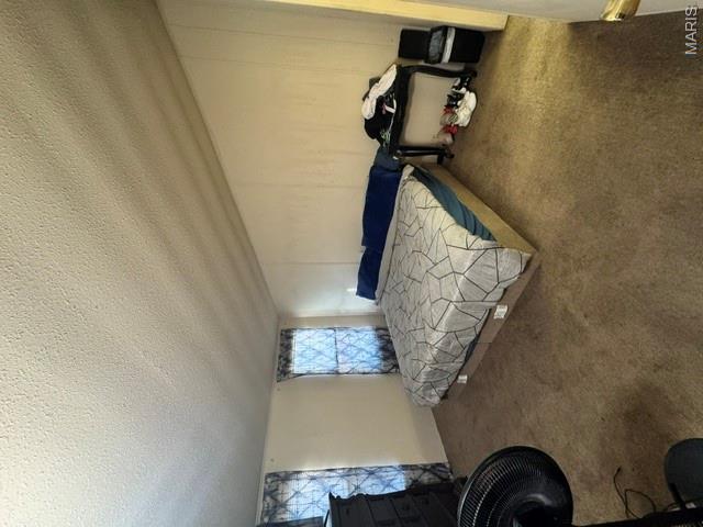 808 Dawson Road New Madrid, MO 63869 - Photo 11 of 13
