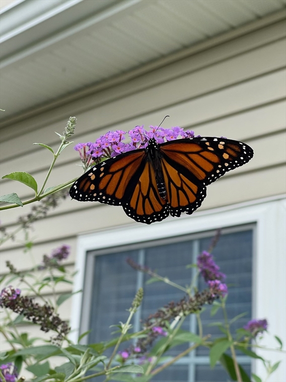 831 Ledgewood Way, Unit 831 Clinton, MA 01510 - Photo 41 of 42