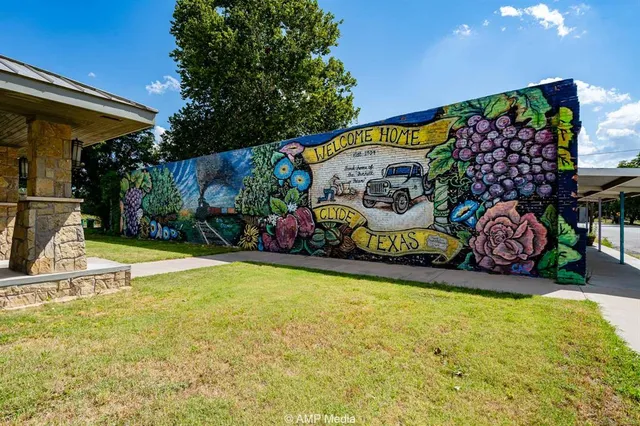 a view of outdoor space patio and outdoor kitchen