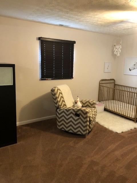 12500 Park Road Orient, OH 43146 - Photo 9 of 12 Gallery Image 9