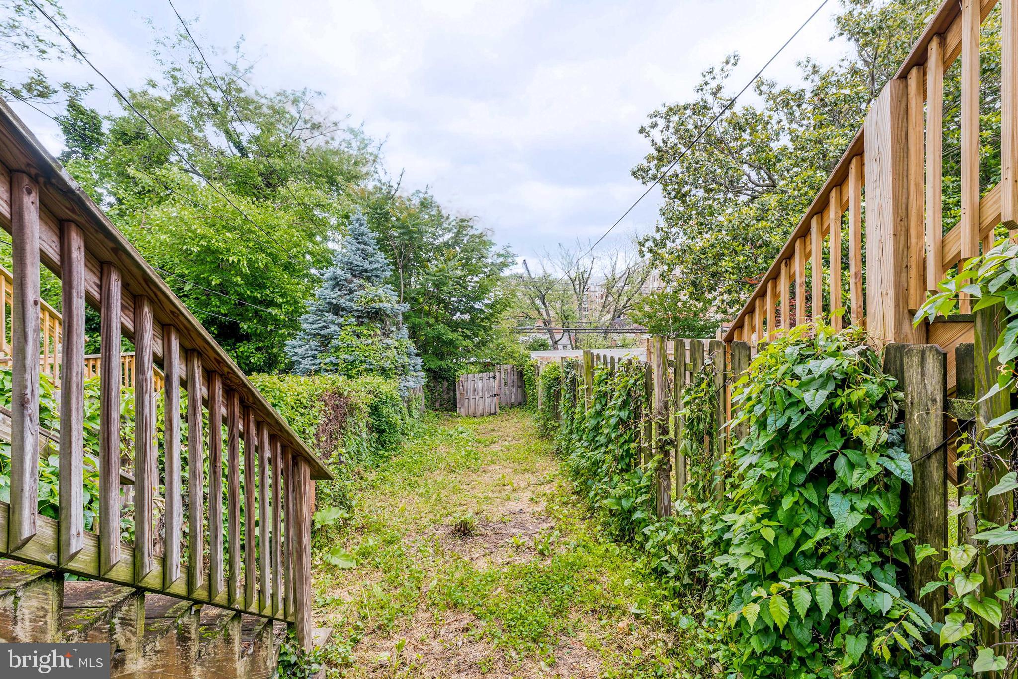 3903 Roland Avenue Baltimore, MD 21211 - Photo 23 of 29 Backyard