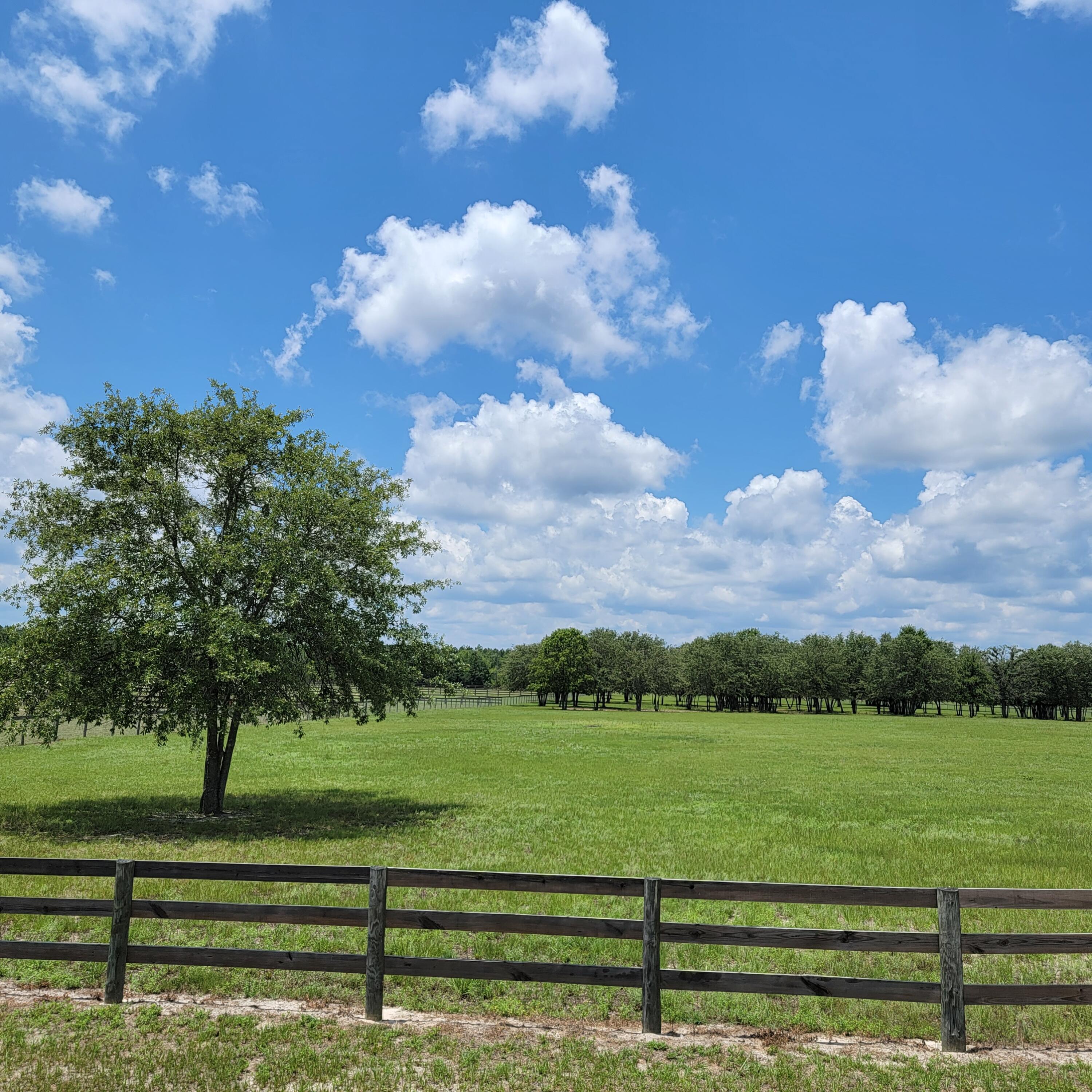 0 Riker Trail Windsor, SC 29856 - Photo 9 of 21
