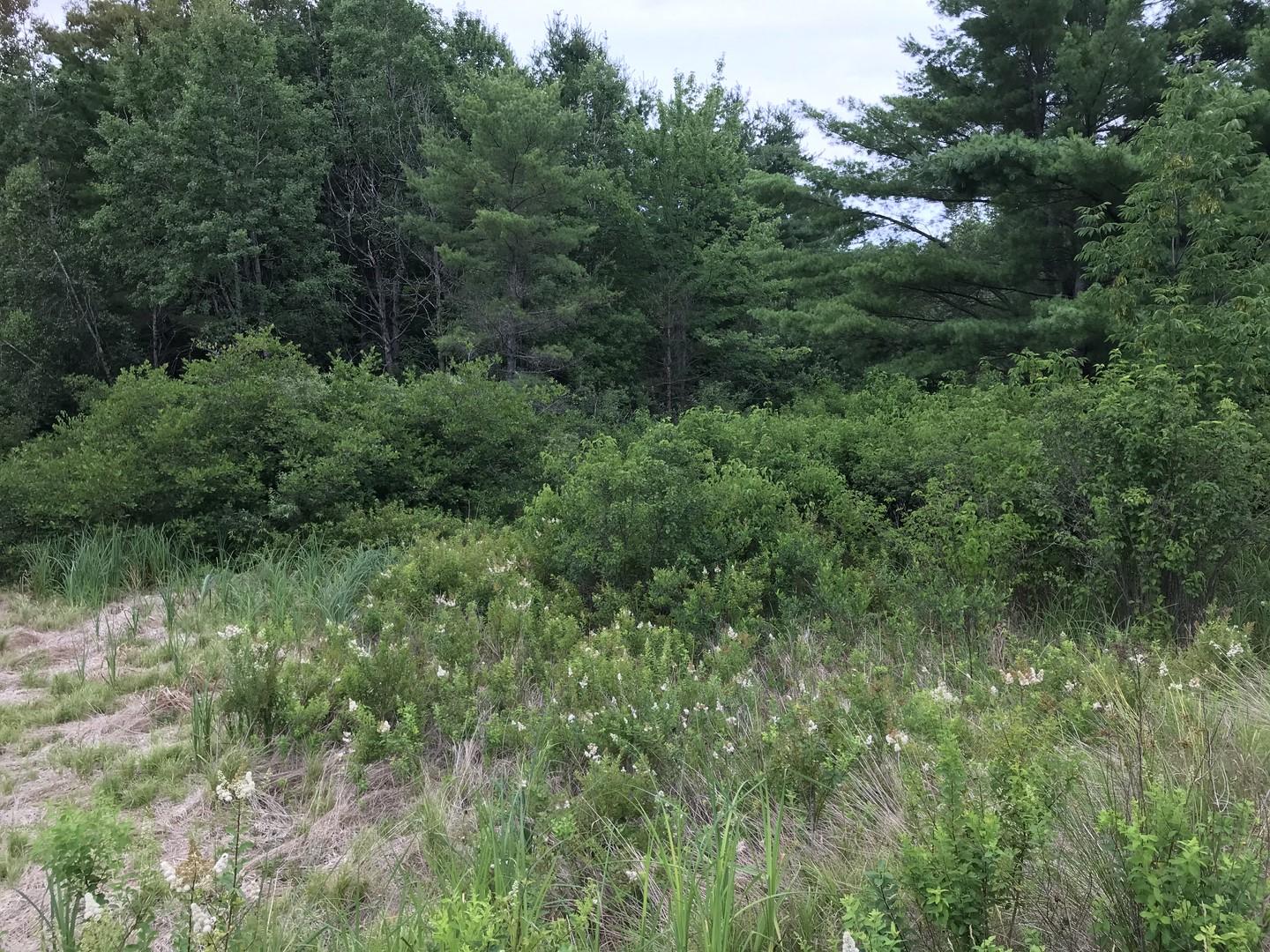 0 Togus Road Augusta, ME 04330 - Photo 5 of 6 5 (Copy)