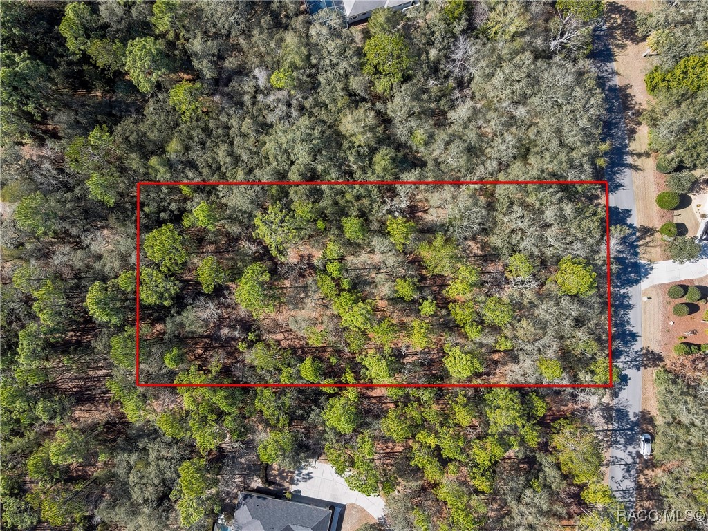 3905 North Longvalley Road Hernando, FL 34442 - Photo 3 of 12