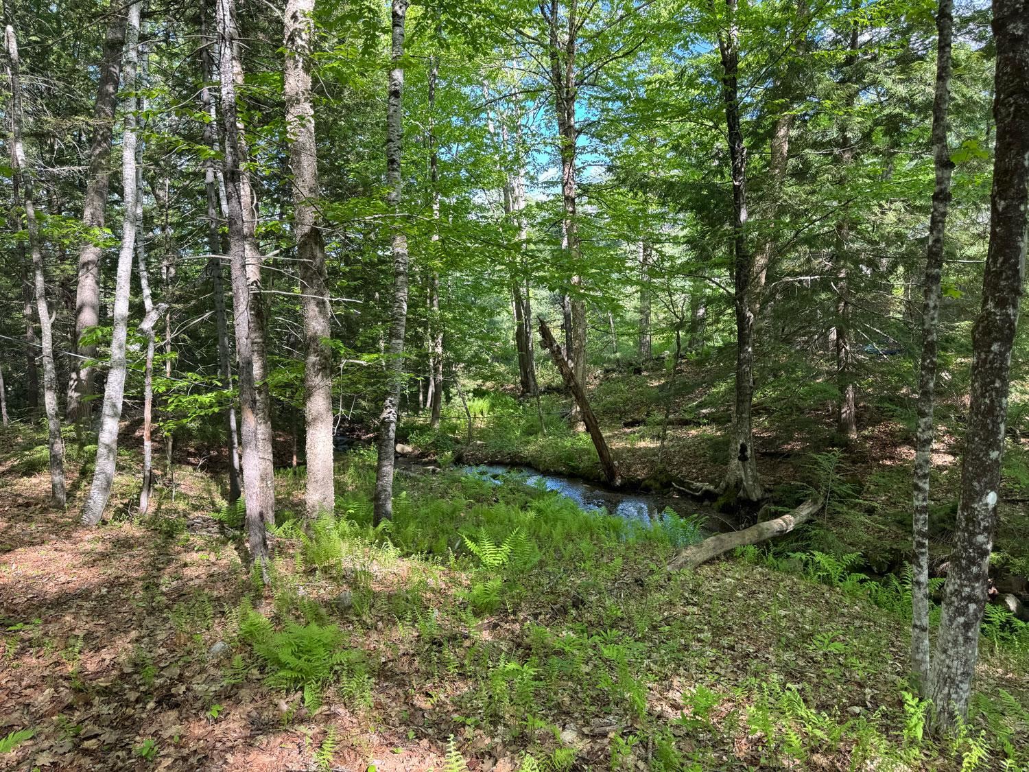 0 Peaked Hill Road Bristol, NH 03222 - Photo 18 of 33