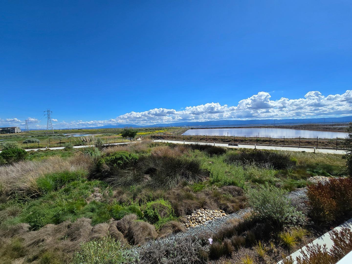 9532 Seawind Way Newark, CA 94560 - Photo 26 of 44 a view of a lake with houses in the background