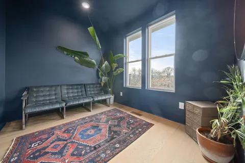 a living room with furniture and a potted plant