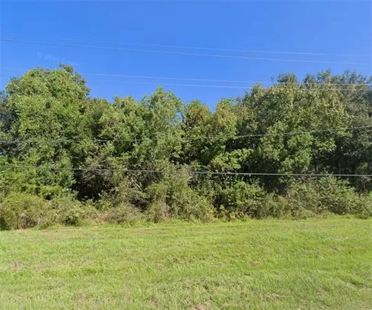 $89,000 | 0 Highway 15 (parcel 1072850) Braithwaite La, Braithwaite, LA 70040