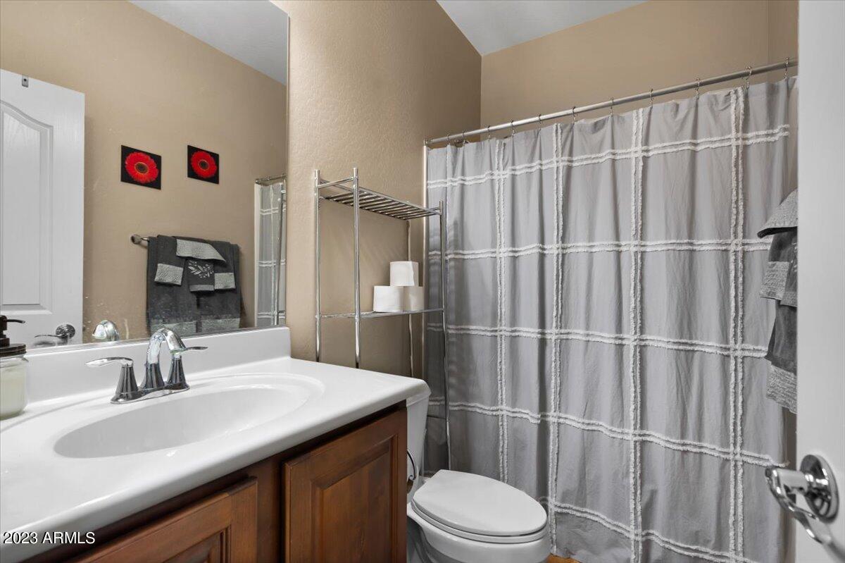 2044 East Stacey Road Gilbert, AZ 85298 - Photo 18 of 28 Hall Bathroom