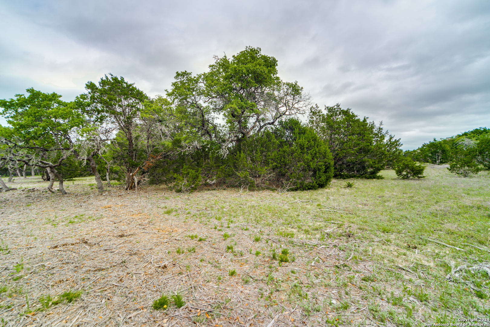 980 Scarlett Rdg Drive Bulverde, TX 78163 - Photo 3 of 13