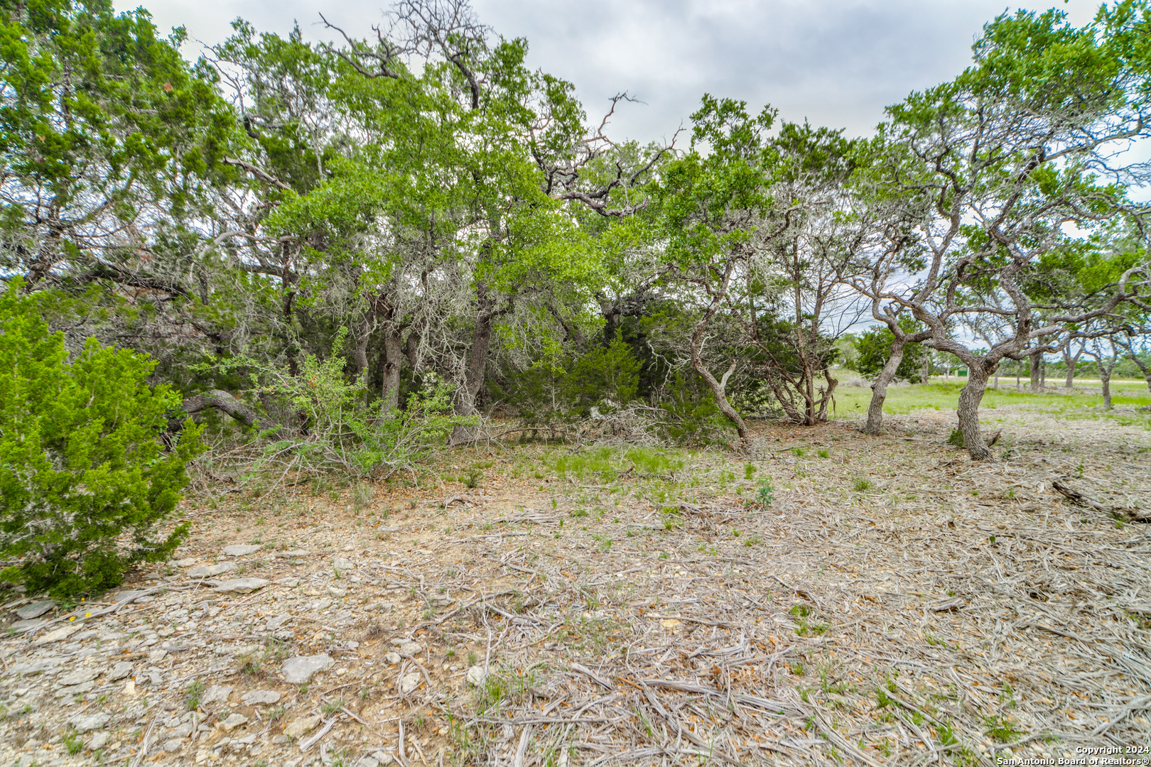 980 Scarlett Rdg Drive Bulverde, TX 78163 - Photo 4 of 13