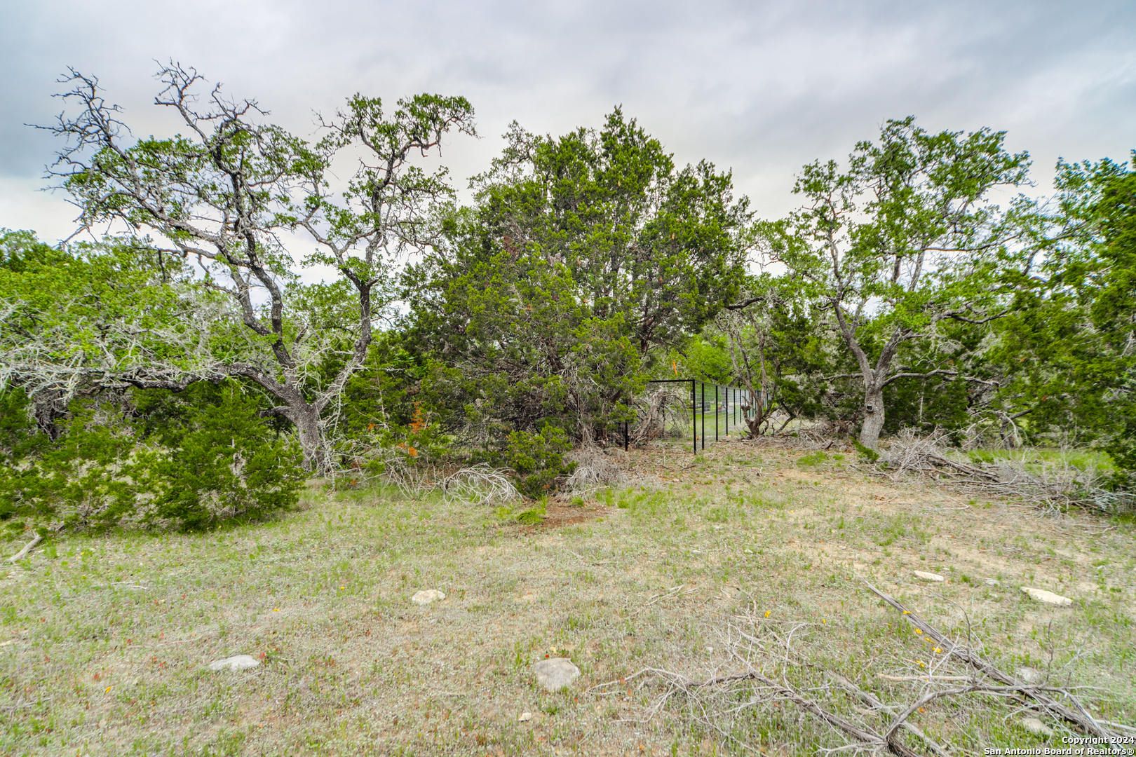 980 Scarlett Rdg Drive Bulverde, TX 78163 - Photo 5 of 13