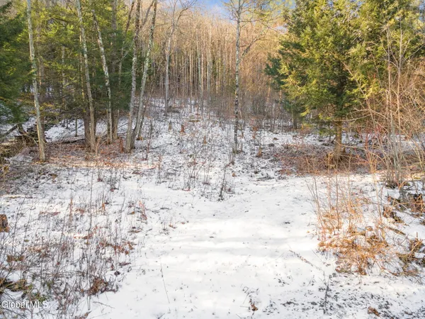 $19,900 | 163 Armlin Road, Broome, NY 12122