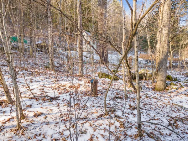 $19,900 | 163 Armlin Road, Broome, NY 12122