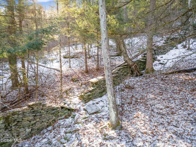 $19,900 | 163 Armlin Road, Broome, NY 12122