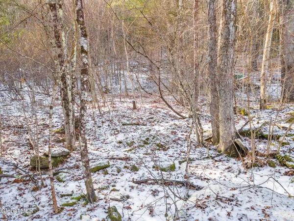$19,900 | 163 Armlin Road, Broome, NY 12122