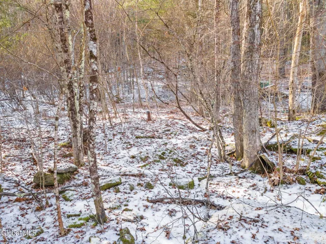 $19,900 | 163 Armlin Road, Broome, NY 12122