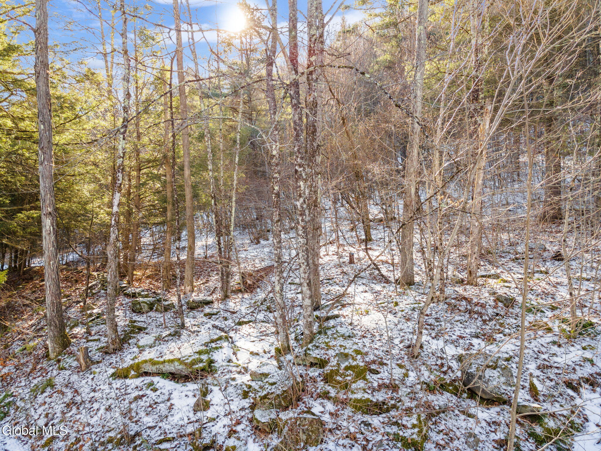 163 Armlin Road Broome, NY 12122 - Photo 6 of 10 11-163ArmlinRd_11