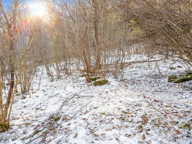 $19,900 | 163 Armlin Road, Broome, NY 12122