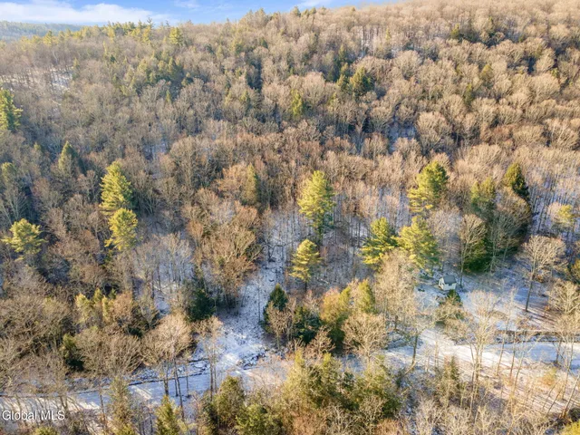 $19,900 | 163 Armlin Road, Broome, NY 12122