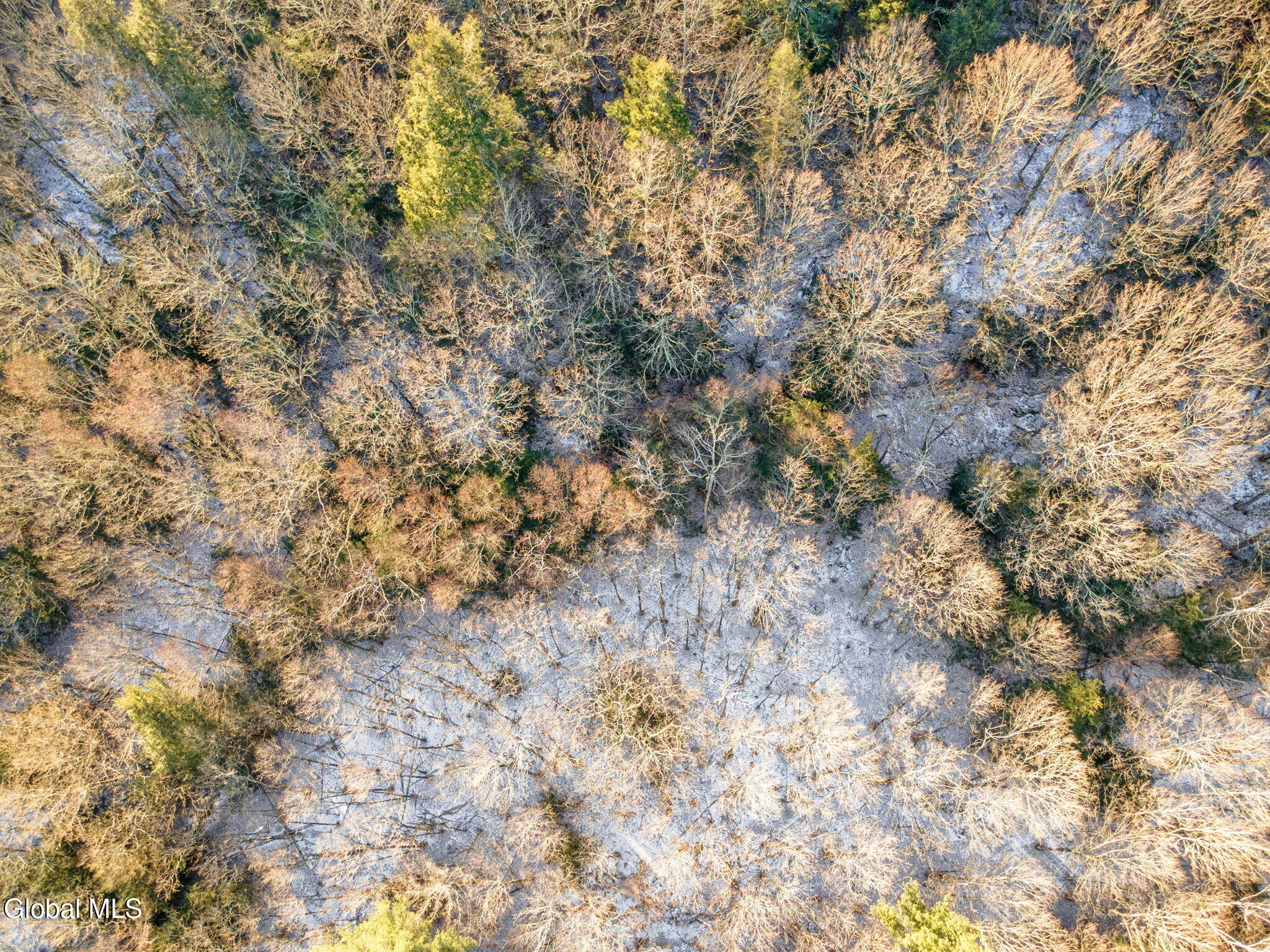 163 Armlin Road Broome, NY 12122 - Photo 9 of 10 13-163ArmlinRd_13