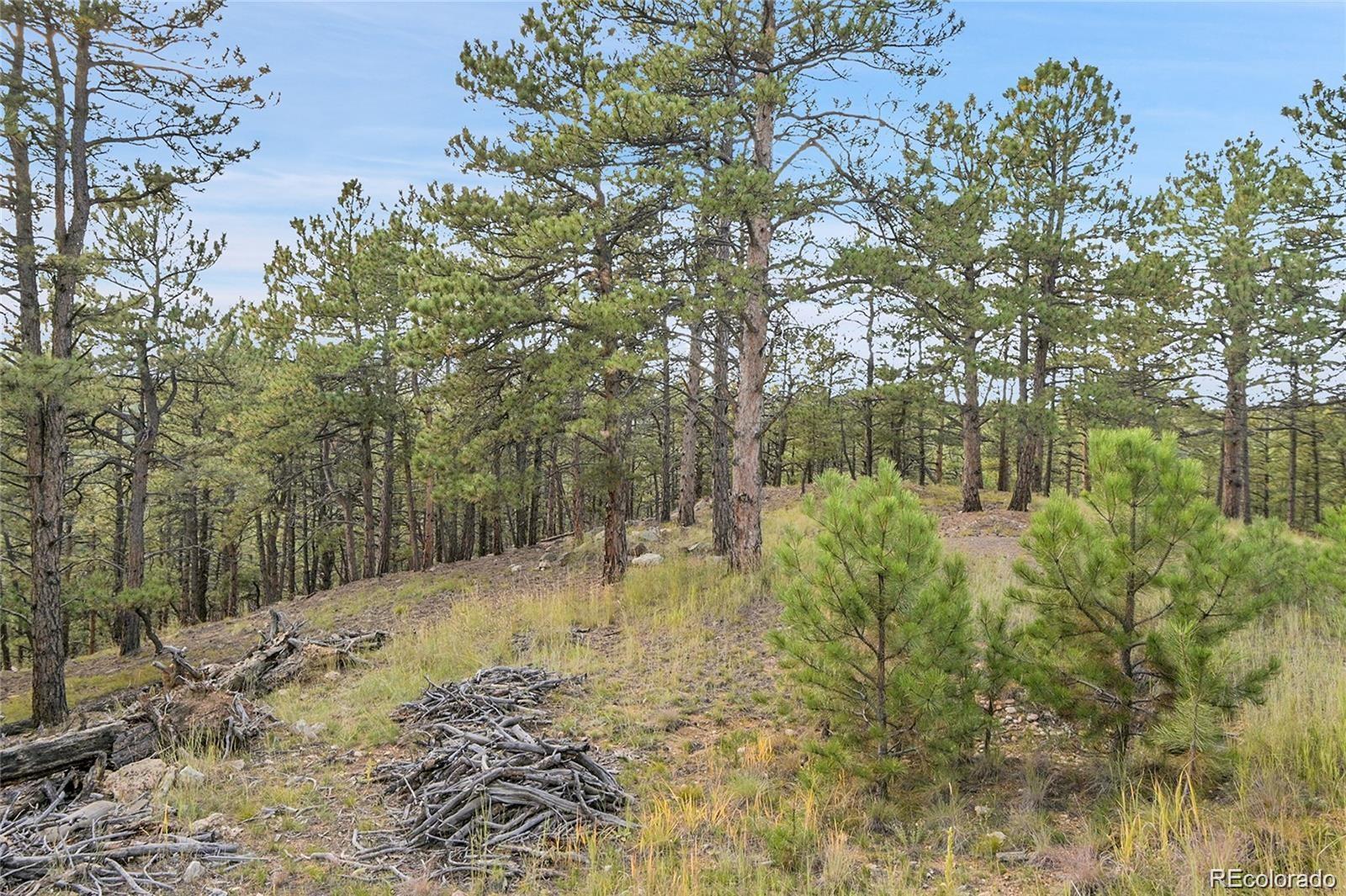 2317 Wieler Road Evergreen, CO 80439 - Photo 9 of 26 Gallery Image 9