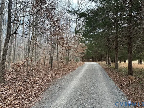 $175,000 | Lot 2 Dogtown Road, Goochland, VA 23063
