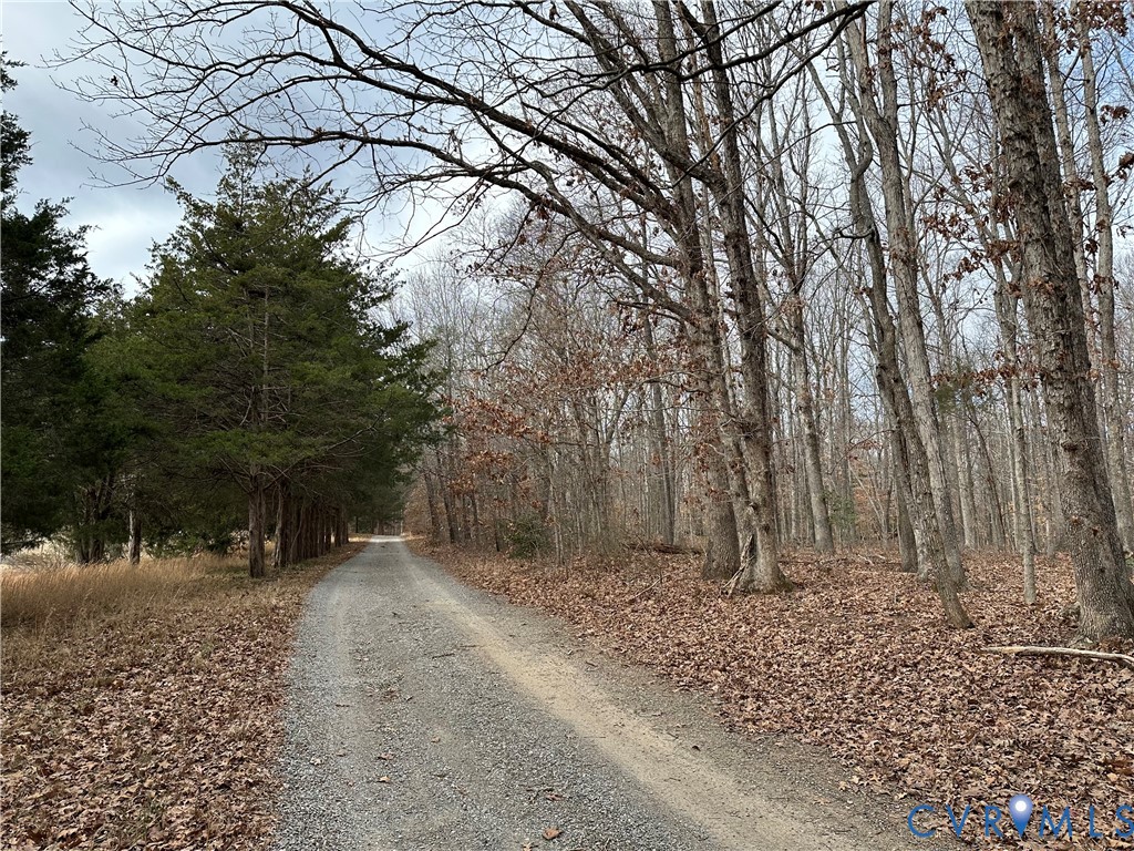 Lot 2 Dogtown Road Goochland, VA 23063 - Photo 2 of 15 a view of a forest with trees in the background
