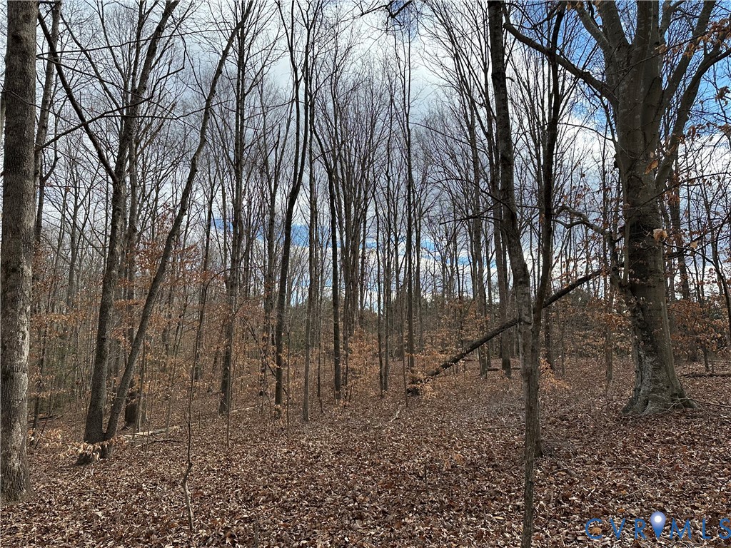 Lot 2 Dogtown Road Goochland, VA 23063 - Photo 7 of 15 a backyard of a house with lots of green space