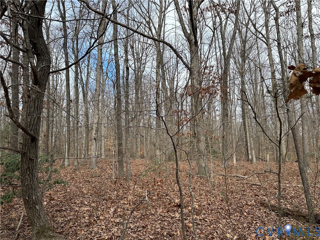 Lot 2 Dogtown Road Goochland, VA 23063 - Photo 8 of 15 a backyard of a house with lots of green space