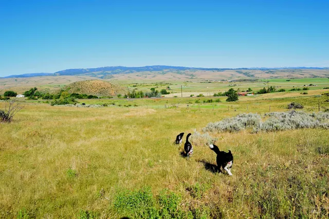 $100,000 | 95 Indian Valley, Indian Valley, ID 83632