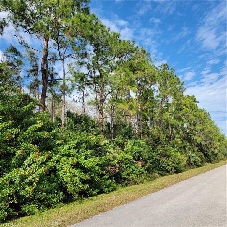 2nd Street Northeast Naples, FL 34120 - Photo 13 of 17 a view of a garden