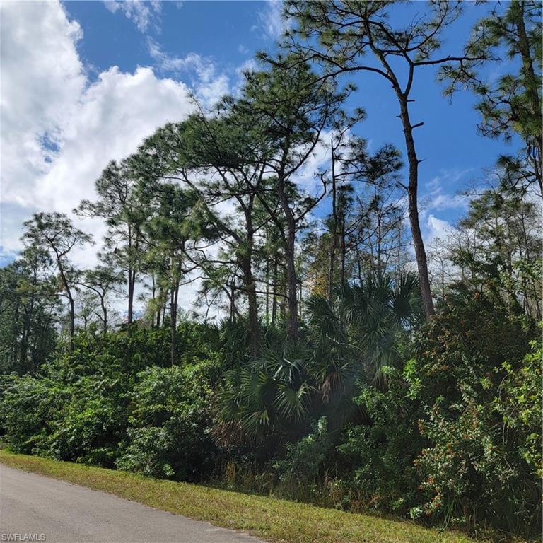 2nd Street Northeast Naples, FL 34120 - Photo 15 of 17 a view of a tree in a yard