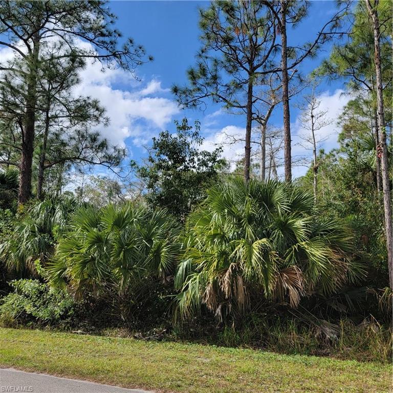 2nd Street Northeast Naples, FL 34120 - Photo 4 of 17 a view of a yard with plants