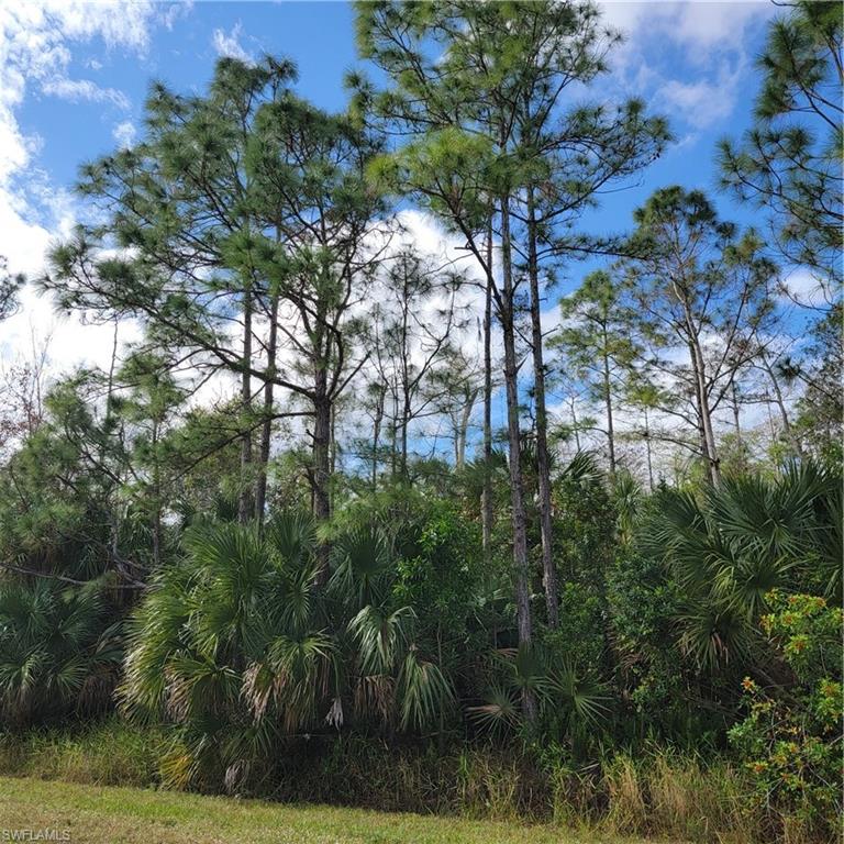 2nd Street Northeast Naples, FL 34120 - Photo 6 of 17 a view of a trees in a yard