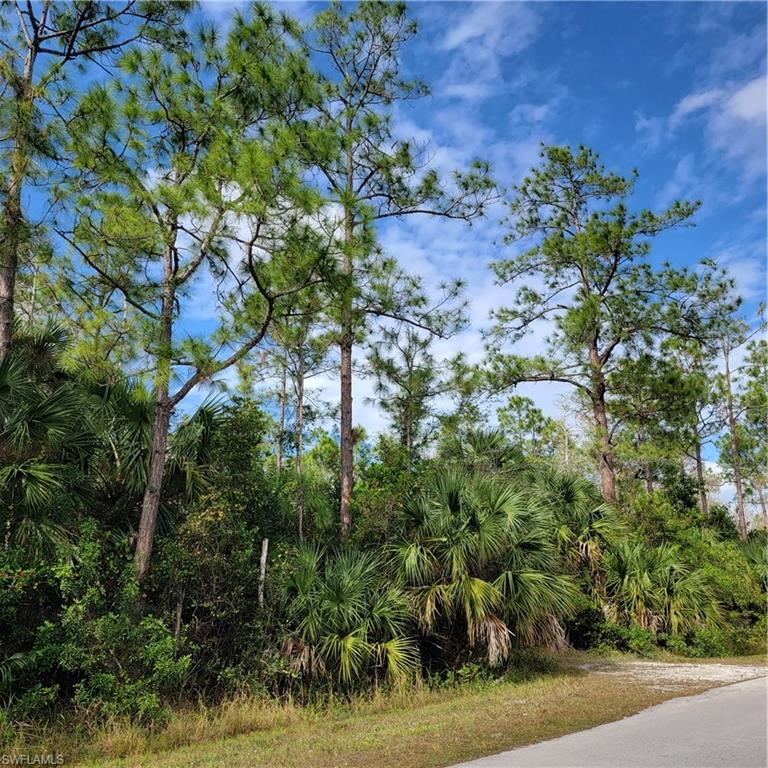 2nd Street Northeast Naples, FL 34120 - Photo 7 of 17 a backyard of a house with lots of green space