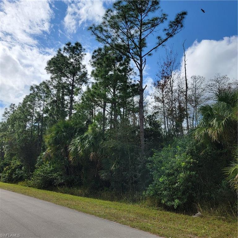 2nd Street Northeast Naples, FL 34120 - Photo 8 of 17 a view of a yard