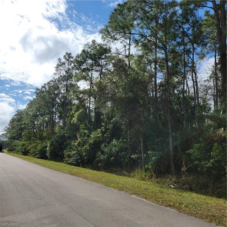 2nd Street Northeast Naples, FL 34120 - Photo 10 of 17 a view of a yard with plants and large trees