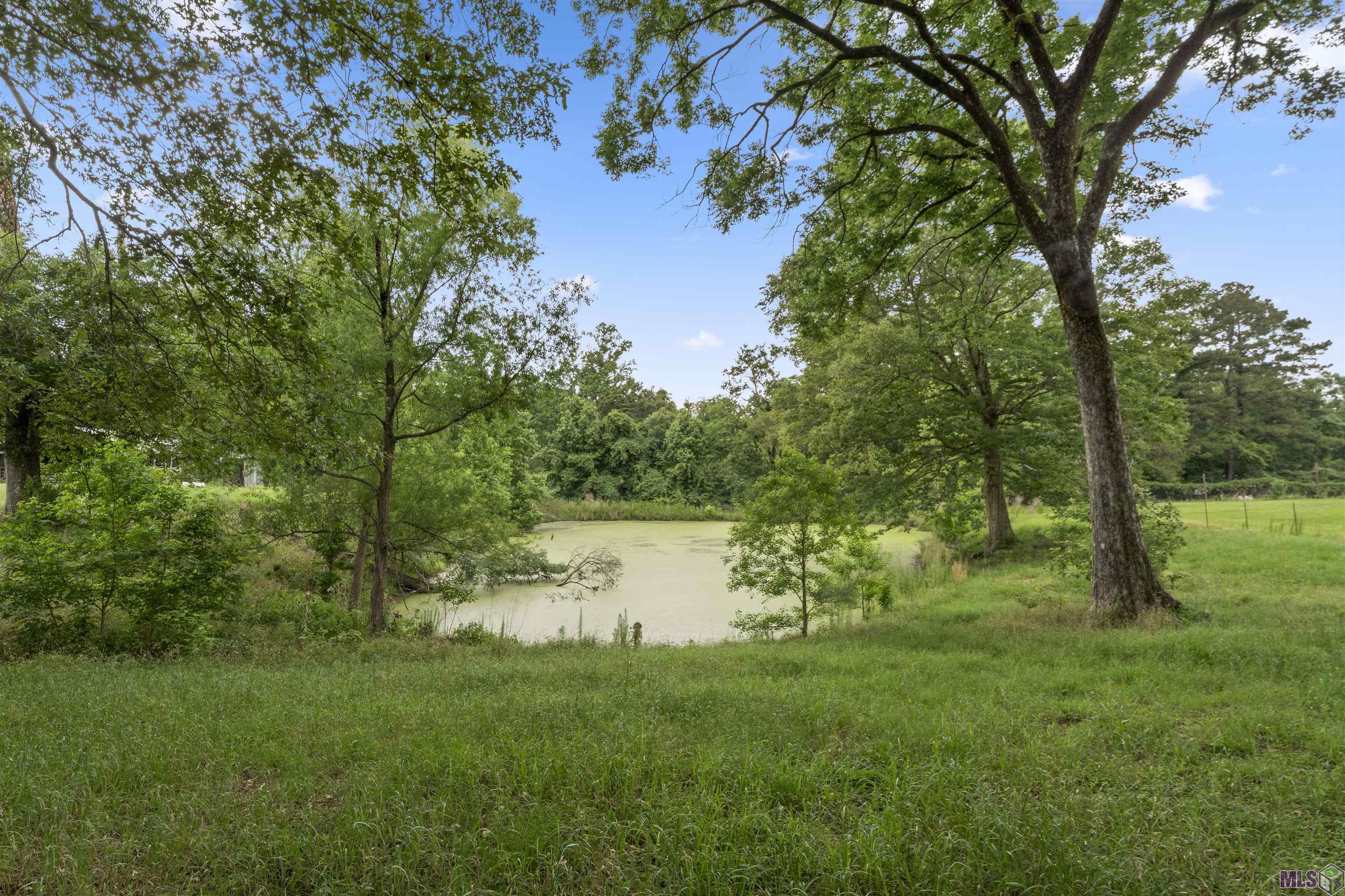 6409 Pohlman Road St. Francisville, LA 70775 - Photo 2 of 33
