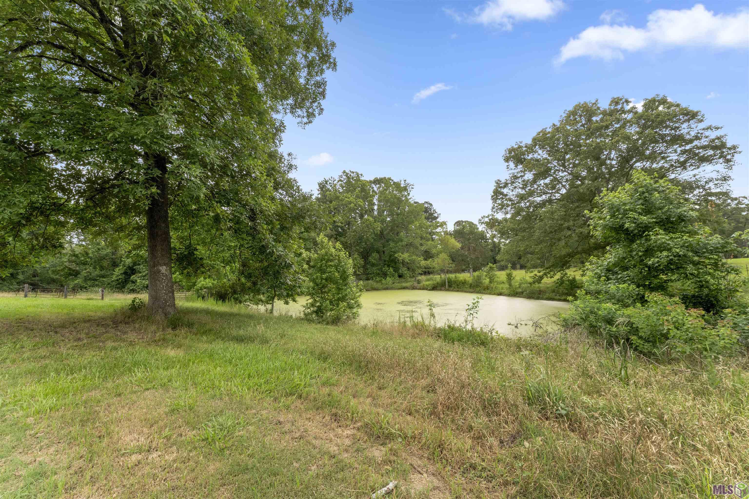 6409 Pohlman Road St. Francisville, LA 70775 - Photo 21 of 33