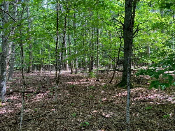 $495,000 | 0 Deering Drive, Gorham, ME 04038