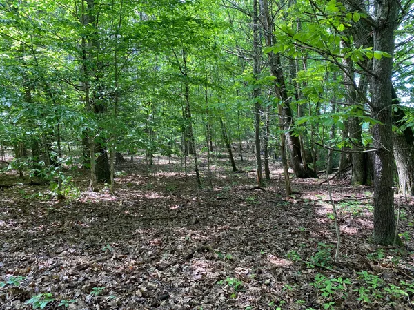 $495,000 | 0 Deering Drive, Gorham, ME 04038